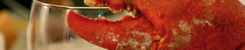 Le homard et le Meursault