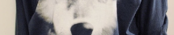 tete de loup