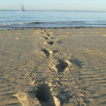 traces de pas