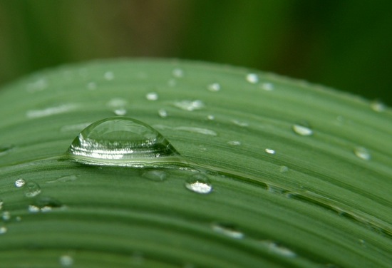 la-goutte-d-eau