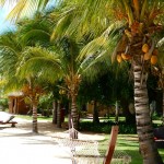intercontinental maurice 2