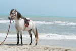 radisson blu djerba 12