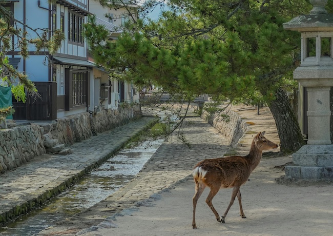 peninsule de noto japon peninsule de noto japon